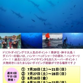 神子元島ツアーのサムネイル