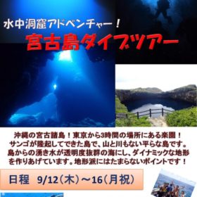 宮古島ポスターのサムネイル