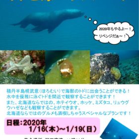 積丹半島トドツアーのサムネイル