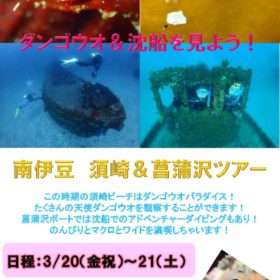 須崎＆菖蒲沢ツアーのサムネイル