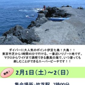 伊豆大島ポスター②のサムネイル