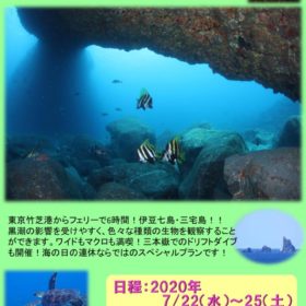 GW三宅島のサムネイル