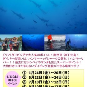 神子元島ツアーのサムネイル