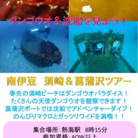 須崎＆菖蒲沢ツアーのサムネイル