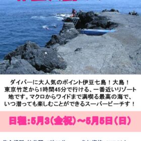 伊豆大島ポスター（日付あり）のサムネイル