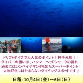 神子元島ツアー（日付あり）のサムネイル