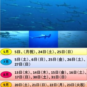神子元島ツアー（日付あり）のサムネイル