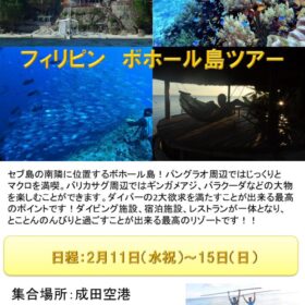 ボホールポスターのサムネイル