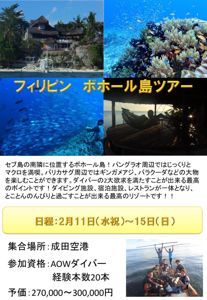 ボホールポスターのサムネイル