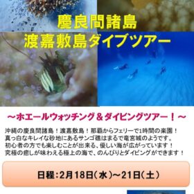 渡嘉敷島ホエールウォッチング＆ダイブツアーのサムネイル