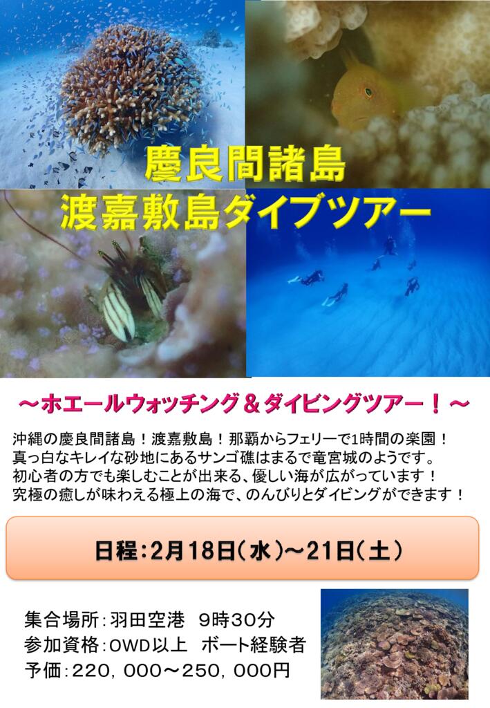 渡嘉敷島ホエールウォッチング＆ダイブツアーのサムネイル