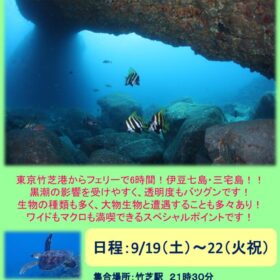 三宅島ツアーのサムネイル