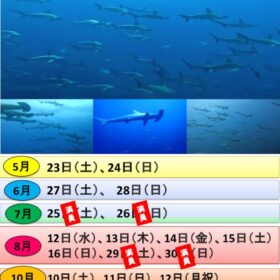 神子元島ツアー（日付あり）のサムネイル