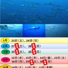 神子元島ツアー（日付あり）のサムネイル