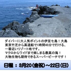 伊豆大島ポスター（日付あり）のサムネイル